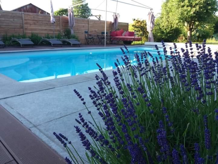 Chambres D Hotes ,Hotel ,Secret D'Une Nuit A Vicq Pres De Valenciennes,Onnaing,Saint Saulve Avec Piscine Экстерьер фото