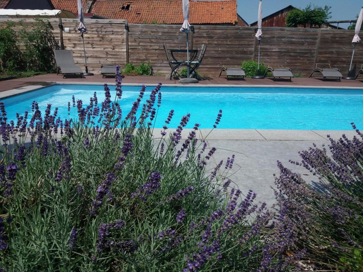 Chambres D Hotes ,Hotel ,Secret D'Une Nuit A Vicq Pres De Onnaing,Avec Piscine Экстерьер фото